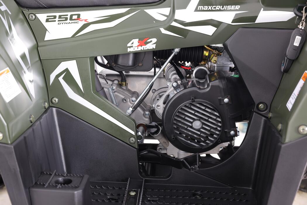 Arktis Motors barnminiquad 110CC helautomatisk, svart/grön