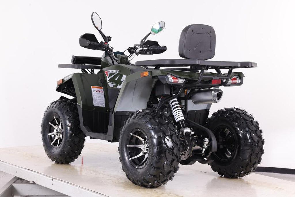 Arktis Motors barnminiquad 110CC helautomatisk, svart/grön