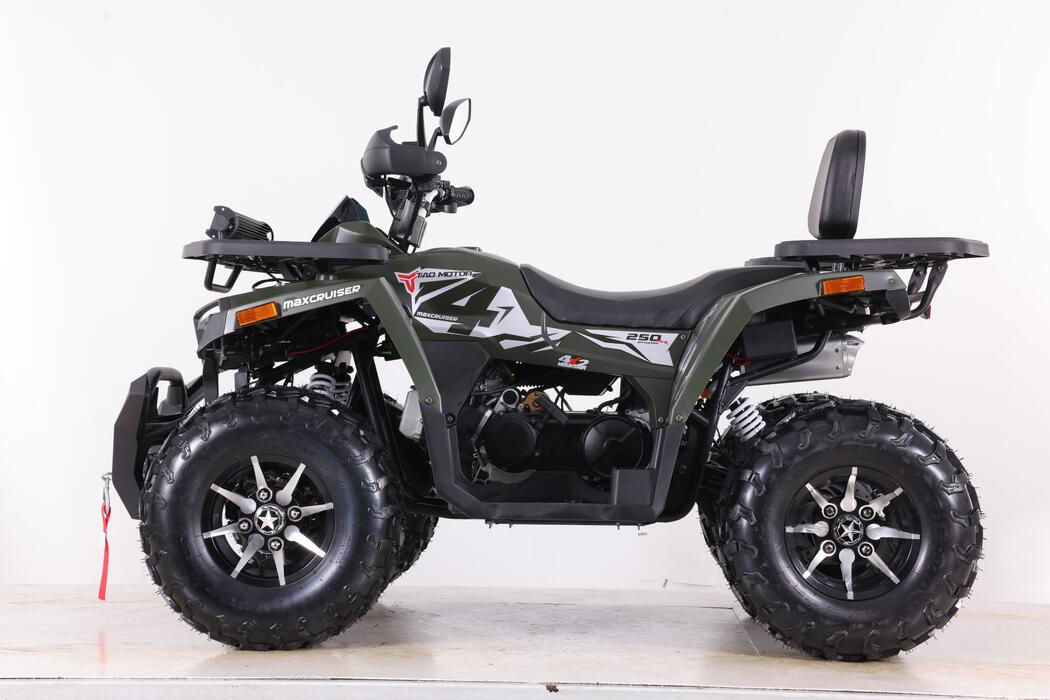 Arktis Motors barnminiquad 110CC helautomatisk, svart/grön