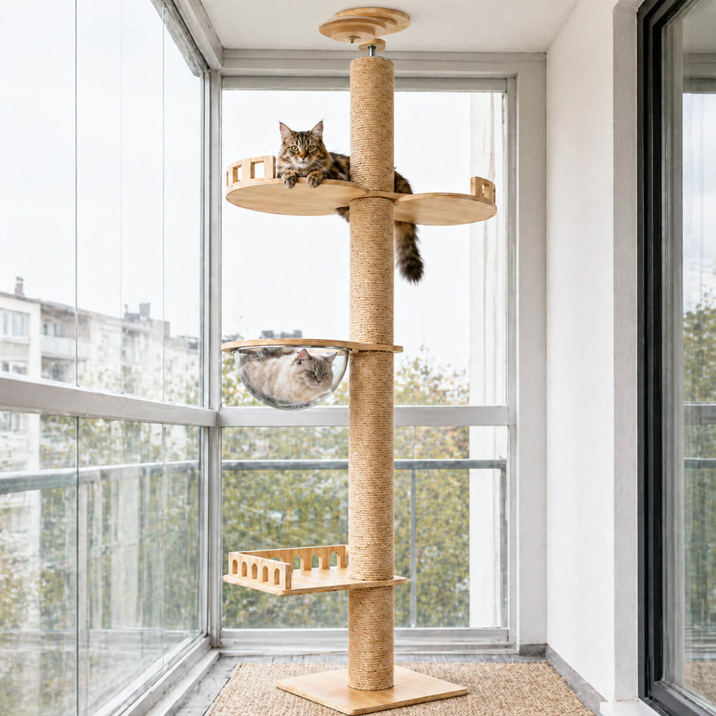 Kattklätterträd i trä 40x40x255–265 cm – ljust klätterträd för inomhuskatter