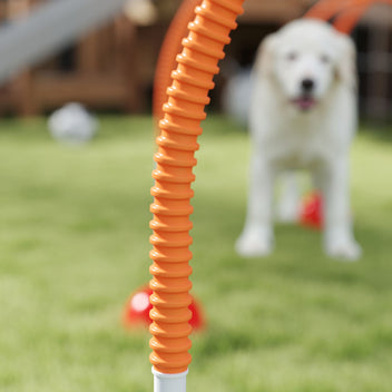 Koiran agility-portit 4 kpl, leveys säädettävä 95–114 cm, täytettävät jalustat, sininen/oranssi