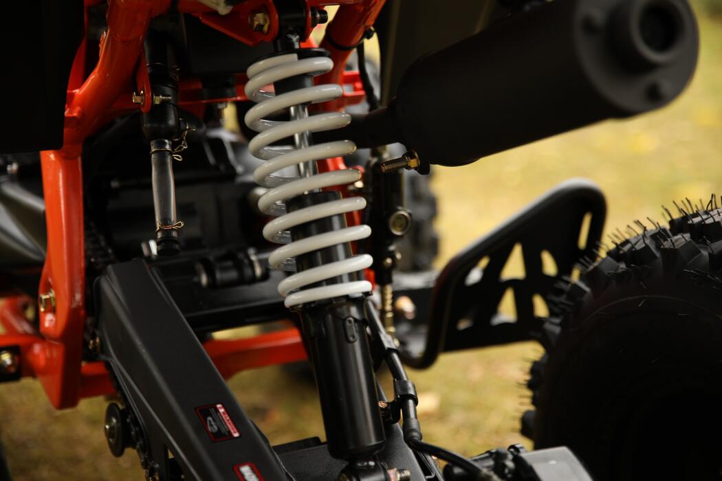 Arktis Motors barnminiquad 110CC helautomatisk, svart/grön