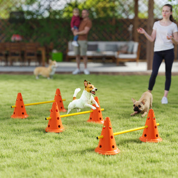 Koiran agility-esteet 3 kpl kartioilla, 3 korkeutta, kantolaukku, oranssi