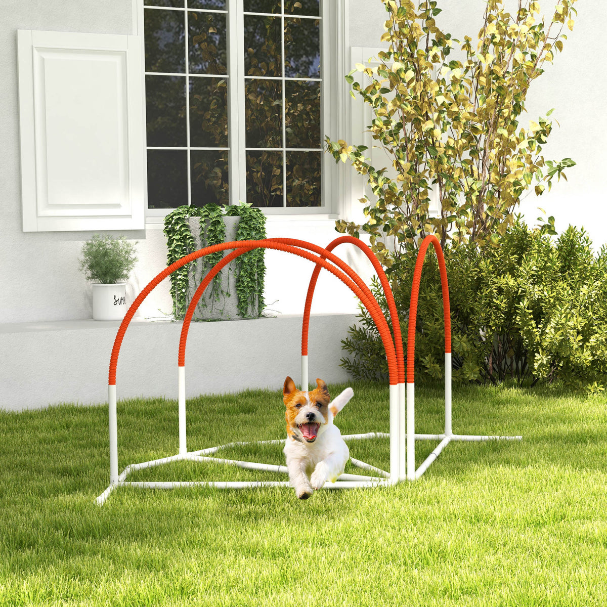Koiran agility-setti 4 osaa maapiikeillä ja kantolaukulla, 89 x 69 x 99 cm, valkoinen/oranssi