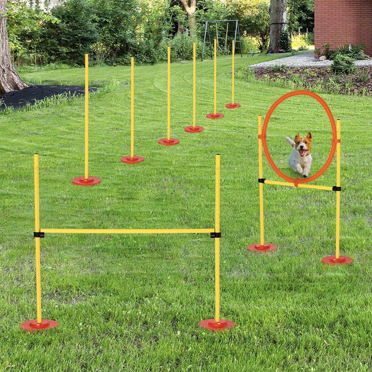 Koiran agility-setti 3 osaa: hyppyeste, rengas ja 6 pujottelukeppiä, säädettävä, keltainen