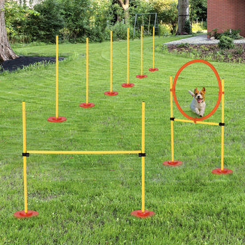 Koiran agility-setti 3 osaa: hyppyeste, rengas ja 6 pujottelukeppiä, säädettävä, keltainen