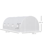 Iso tunnelikasvihuone sinkityllä rungolla, 5,95 x 3 x 2 m, valkoinen