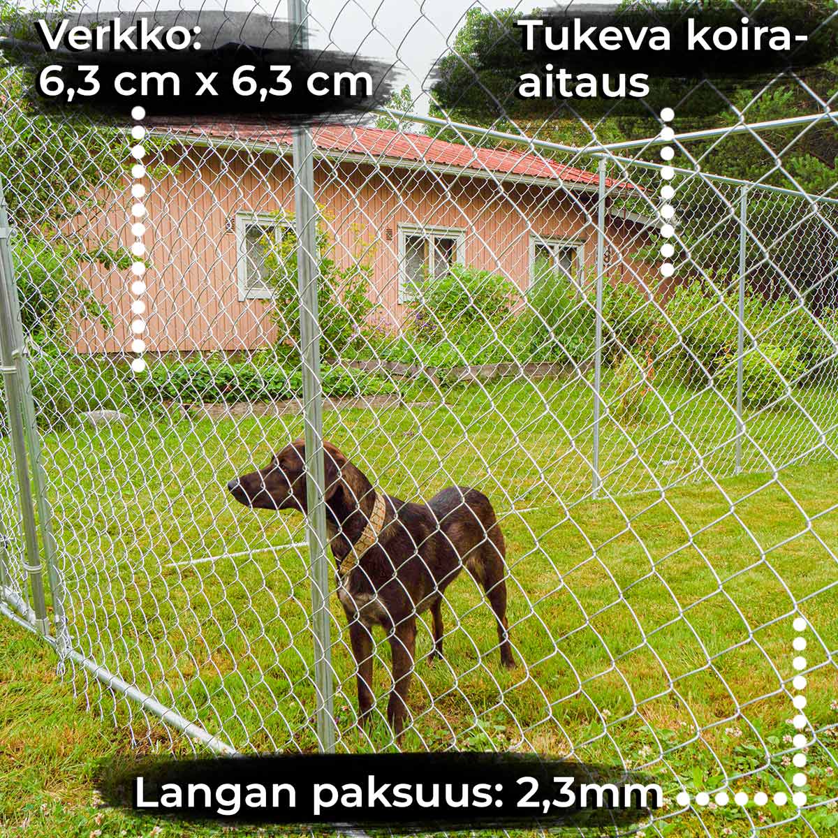 TR KOIRA-AITAUS 6x3x1,83M