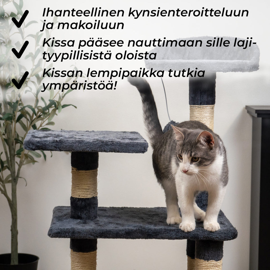TR KISSAN KIIPEILYPUU COMFY, 103CM