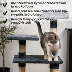 TR KISSAN KIIPEILYPUU COMFY, 103CM