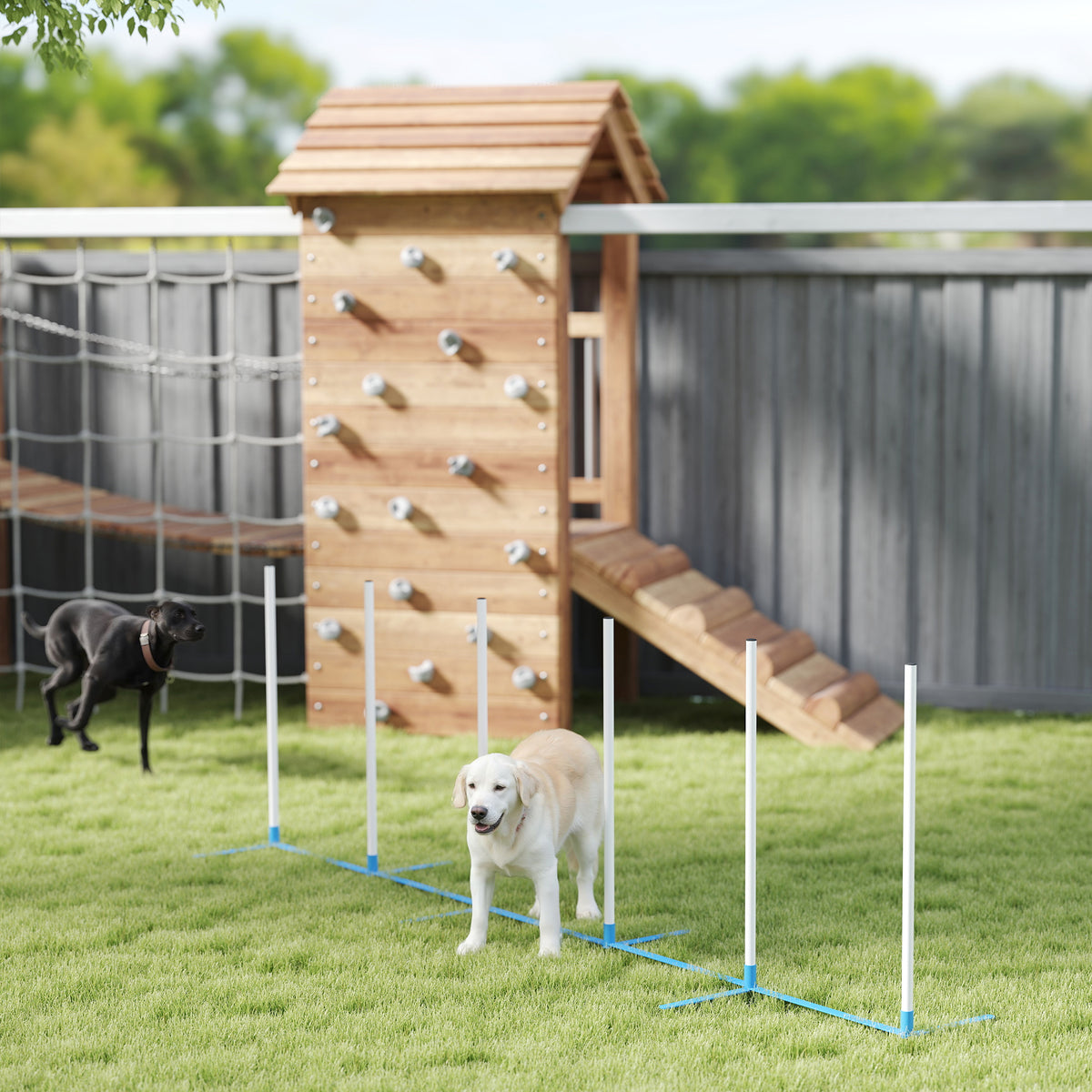 Koiran agility-pujottelukepit 6 kpl, suora tai porrastettu, kantolaukku, 305 cm