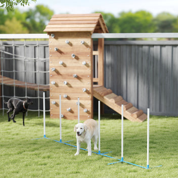 Koiran agility-pujottelukepit 6 kpl, suora tai porrastettu, kantolaukku, 305 cm