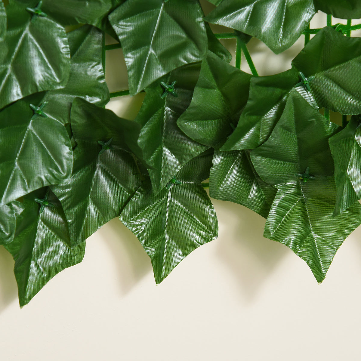 Tekolehtiaita näkösuojaksi, bataattilehti, 300 x 100 cm, tummanvihreä