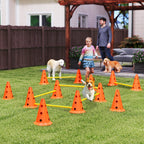 Koiran agility-esteet 6 kpl kartioilla, 3 korkeutta, kantolaukku, oranssi