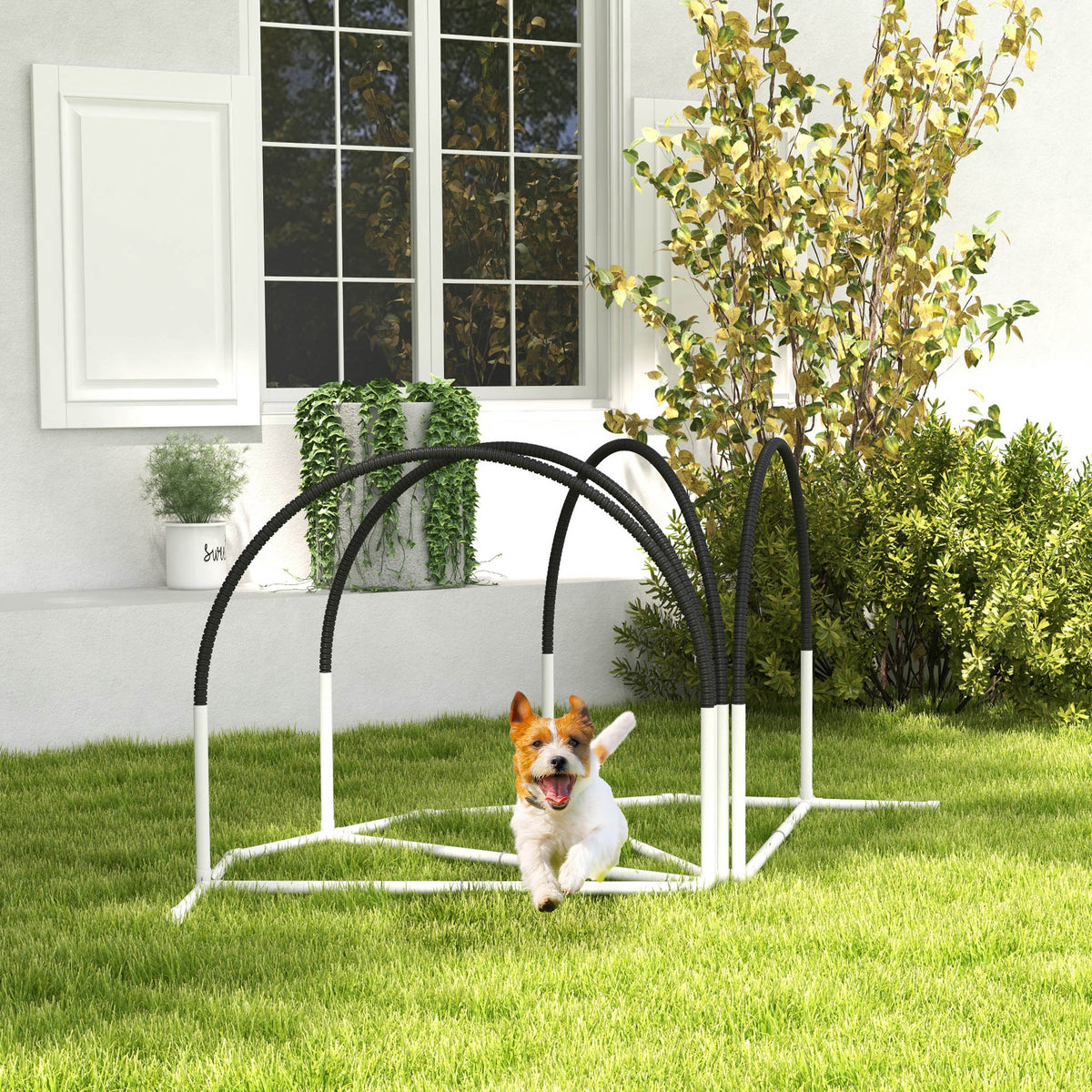 Koiran agility-setti 4 osaa maapiikeillä ja kantolaukulla, 89 x 69 x 99 cm, valkoinen/musta