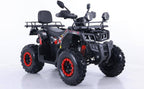 Zanluer 250 Mönkijä 200cc, Automaattivaihteet, Vetokoukku