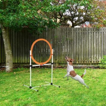 Koiran agility-rengas ja hyppyeste 2-in-1, korkeus 15–60 cm, kantolaukku, valkoinen/oranssi