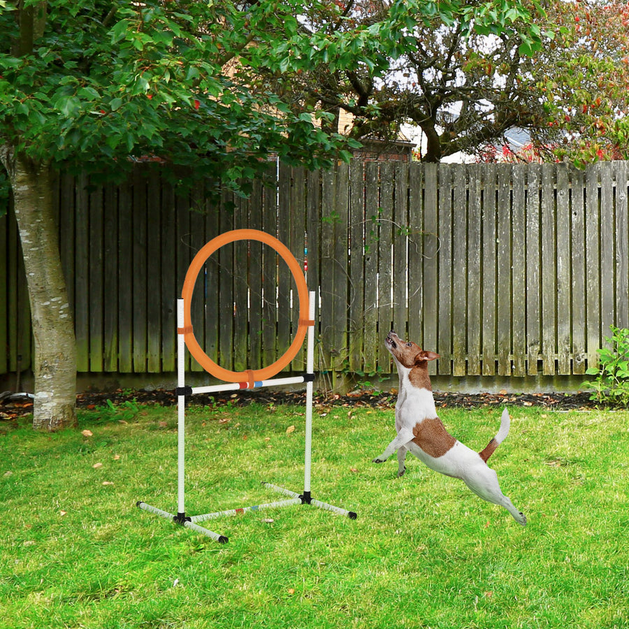 Koiran agility-rengas ja hyppyeste 2-in-1, korkeus 15–60 cm, kantolaukku, valkoinen/oranssi