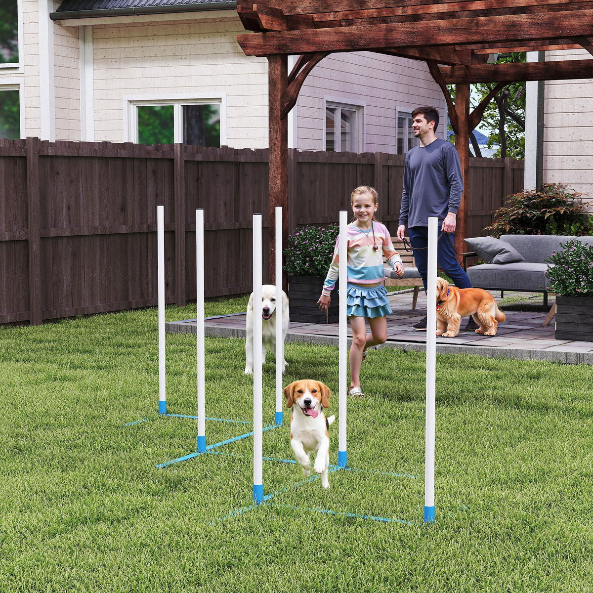 Koiran agility-pujottelukepit 6 kpl, suora tai porrastettu, kantolaukku, 305 cm