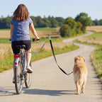 Koiran pyöräilytalutin iskunvaimentimella, ruostumaton teräsvarsi ja pikalukko, 180 cm, hopea/musta