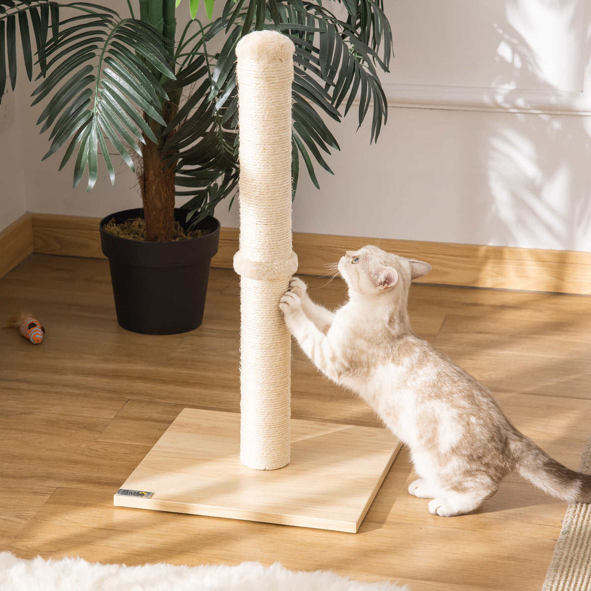 Kissan raapimispylväs sisalköydellä ja pallolla, 60 cm, beige/tammi