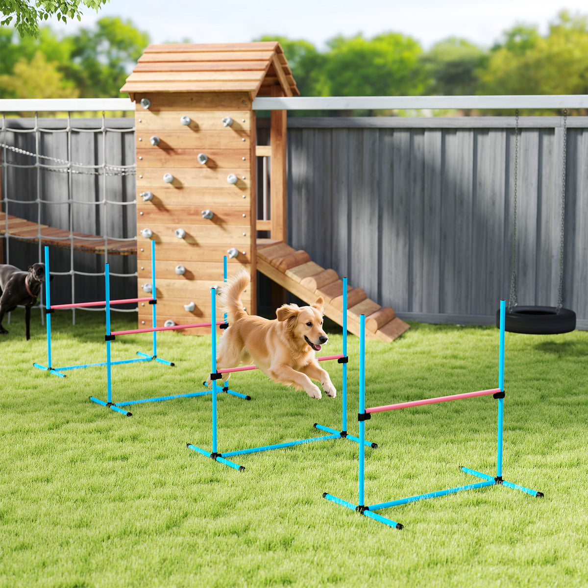 Koiran agility-esteet 4 kpl, korkeus säädettävä, kantolaukku, 99 x 65 x 94 cm, vaaleansininen