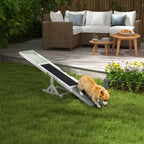 Koiran agility-keinulauta puusta, liukumaton pinta, 180 x 30 x 30 cm, valkoinen