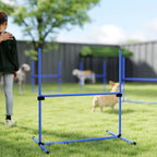 Koiran agility-esteet 4 kpl, korkeus säädettävä, kantolaukku, 99 x 65 x 94 cm, sininen