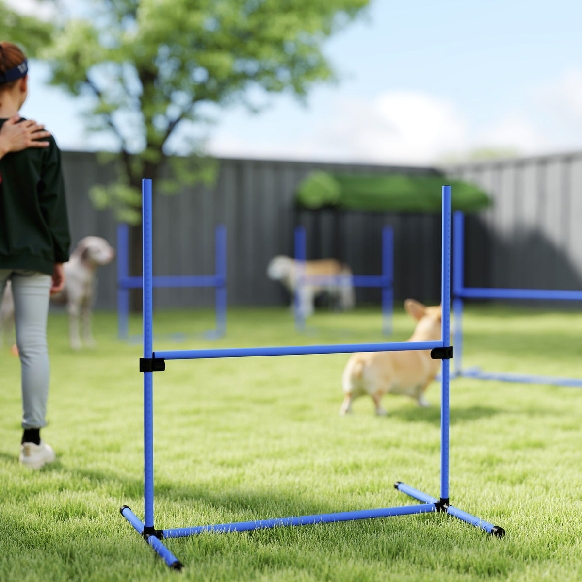 Koiran agility-esteet 4 kpl, korkeus säädettävä, kantolaukku, 99 x 65 x 94 cm, sininen