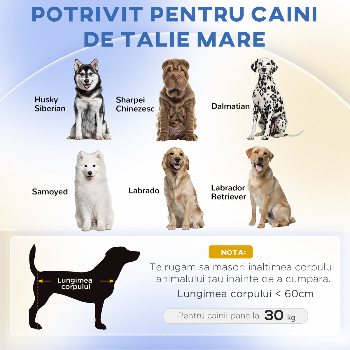 Koiran sohva isoille koirille 30 kg asti, paksu irrotettava tyyny, 98 x 67 x 25 cm, vihreä