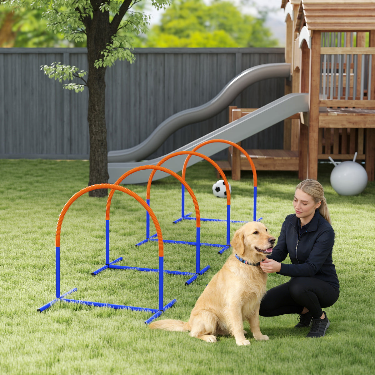 Koiran agility-kaaret 4 kpl aloittelijoille, kantolaukku, 88 x 64 x 95 cm, sininen/oranssi