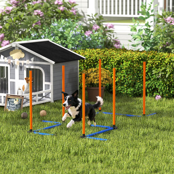 Koiran agility-pujottelukepit, suora tai porrastettu, maapiikit ja kantolaukku, oranssi