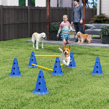 Koiran agility-esteet 3 kpl kartioilla, 3 korkeutta, kantolaukku, sininen