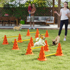 Koiran agility-esteet 6 kpl kartioilla, 3 korkeutta, kantolaukku, oranssi