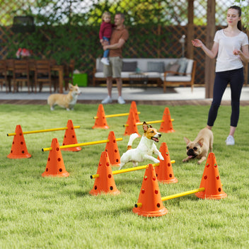 Koiran agility-esteet 6 kpl kartioilla, 3 korkeutta, kantolaukku, oranssi
