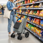 Ostoskärry 3-in-1 kylmätaskulla, 46 l kassi ja reppuhihnat, säädettävä aisa, alumiini, harmaa