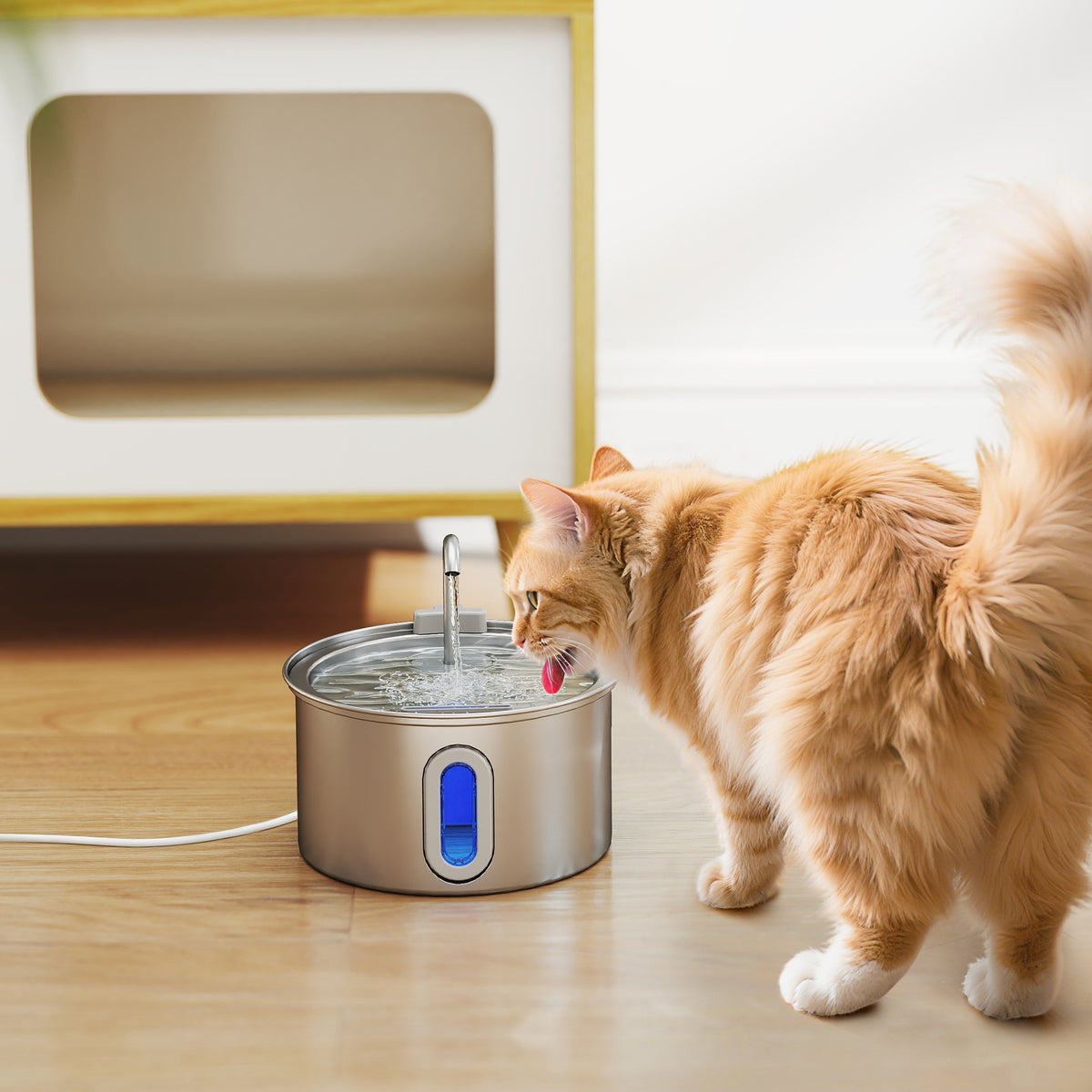 Kissan juoma-automaatti ruostumatonta terästä, 2,5 l, kaksi virtaustilaa