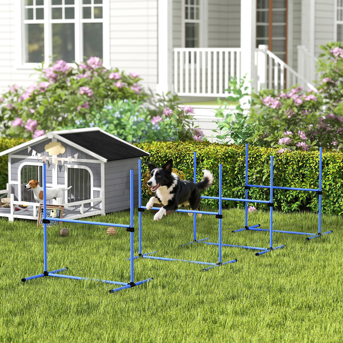 Koiran agility-esteet 4 kpl, korkeus säädettävä, kantolaukku, 99 x 65 x 94 cm, sininen