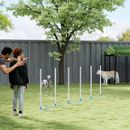 Koiran agility-pujottelukepit 6 kpl, suora tai porrastettu, kantolaukku, 305 cm