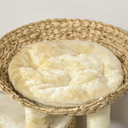 Kissan raapimispuu pesällä, pedillä ja rampilla, 98 cm, luonnonväri/beige
