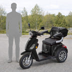 Arktis Motors Senior Scooter med larm 1000 W, 25 km/h, 48 V 20 AH, svart