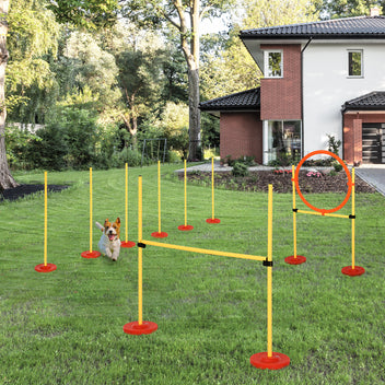 Koiran agility-setti 3 osaa: hyppyeste, rengas ja 6 pujottelukeppiä, säädettävä, keltainen