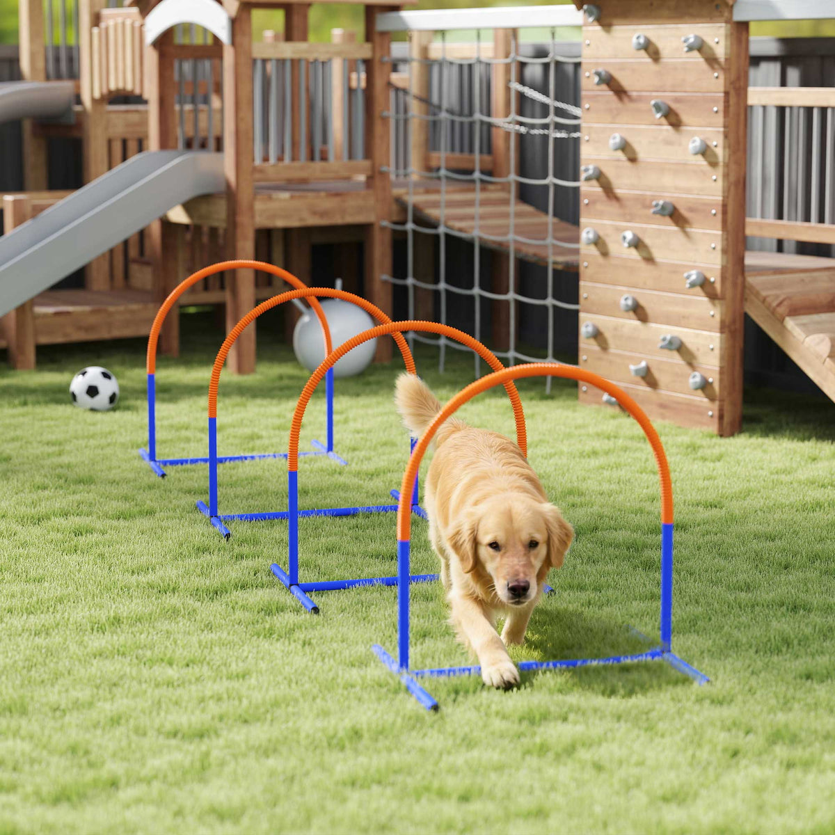 Koiran agility-kaaret 4 kpl aloittelijoille, kantolaukku, 88 x 64 x 95 cm, sininen/oranssi