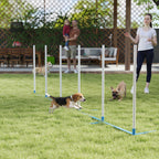 Koiran agility-pujottelukepit 6 kpl, suora tai porrastettu, kantolaukku, 305 cm