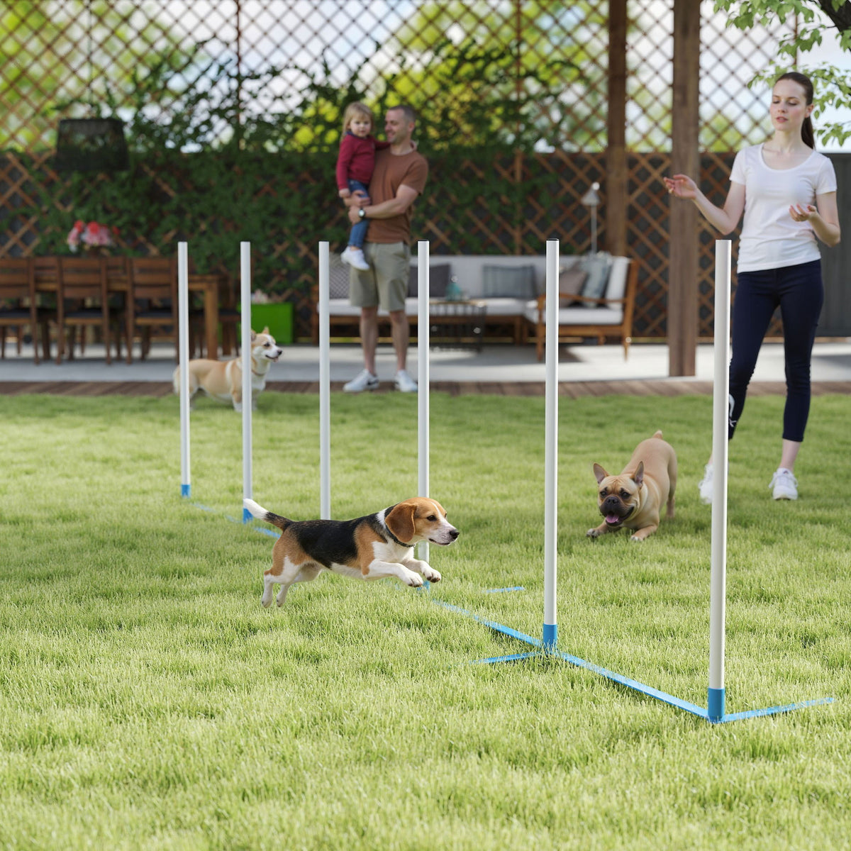 Koiran agility-pujottelukepit 6 kpl, suora tai porrastettu, kantolaukku, 305 cm