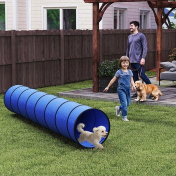 Koiran agility-tunneli 300 x 50 cm, pop up, maapiikit ja kantolaukku, sininen