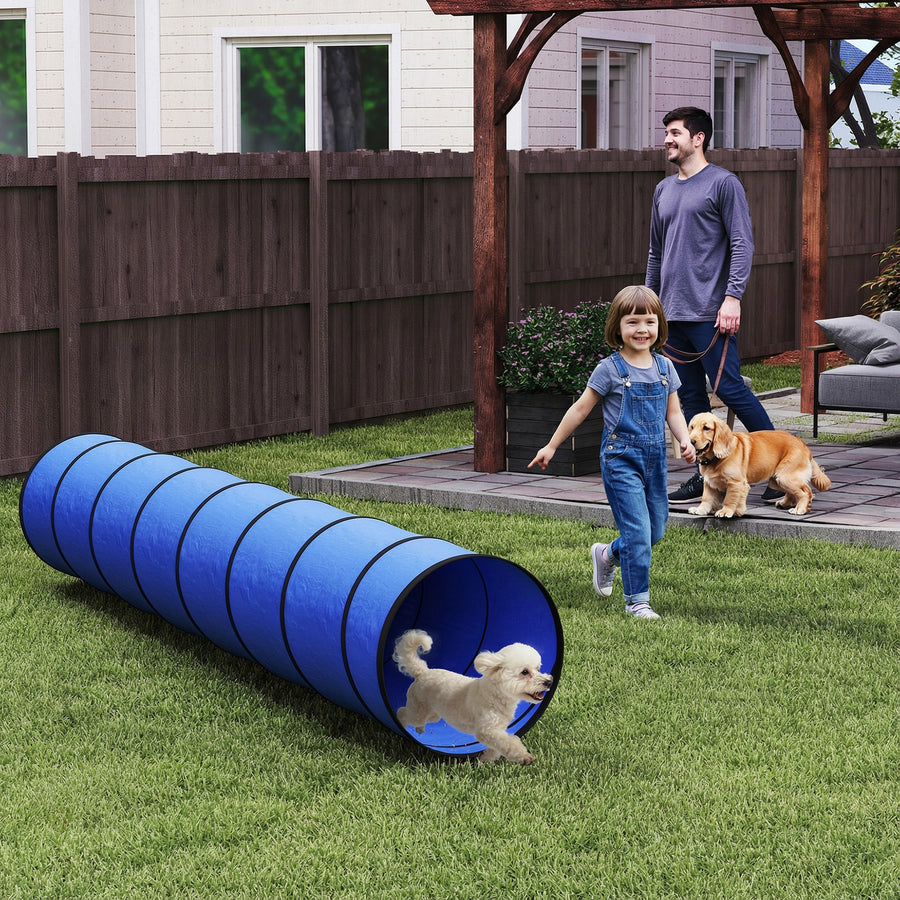 Koiran agility-tunneli 300 x 50 cm, pop up, maapiikit ja kantolaukku, sininen