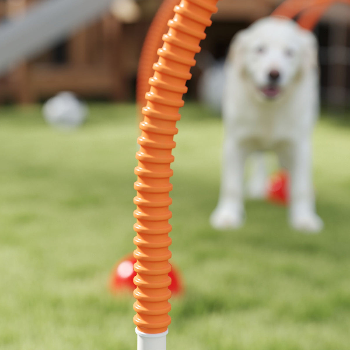 Koiran agility-portit 4 kpl, leveys säädettävä 95–114 cm, täytettävät jalustat, keltainen/oranssi
