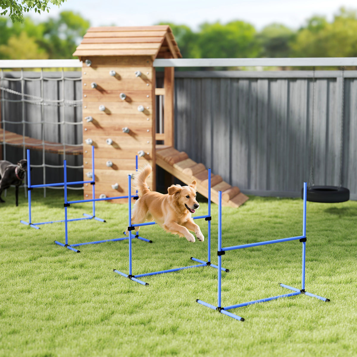 Koiran agility-esteet 4 kpl, korkeus säädettävä, kantolaukku, 99 x 65 x 94 cm, sininen