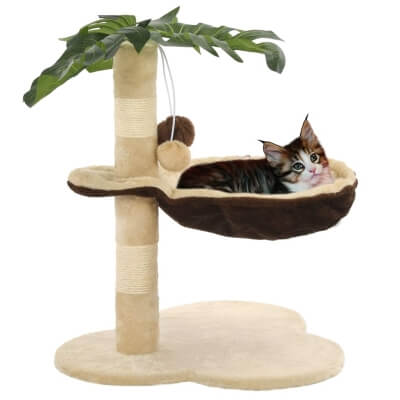 kissan-raapimapuu